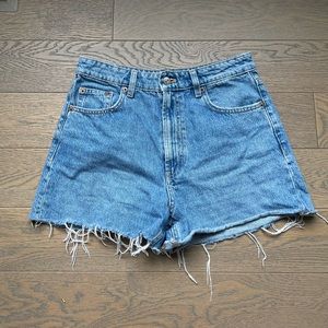 ZARA SHORTS — 6